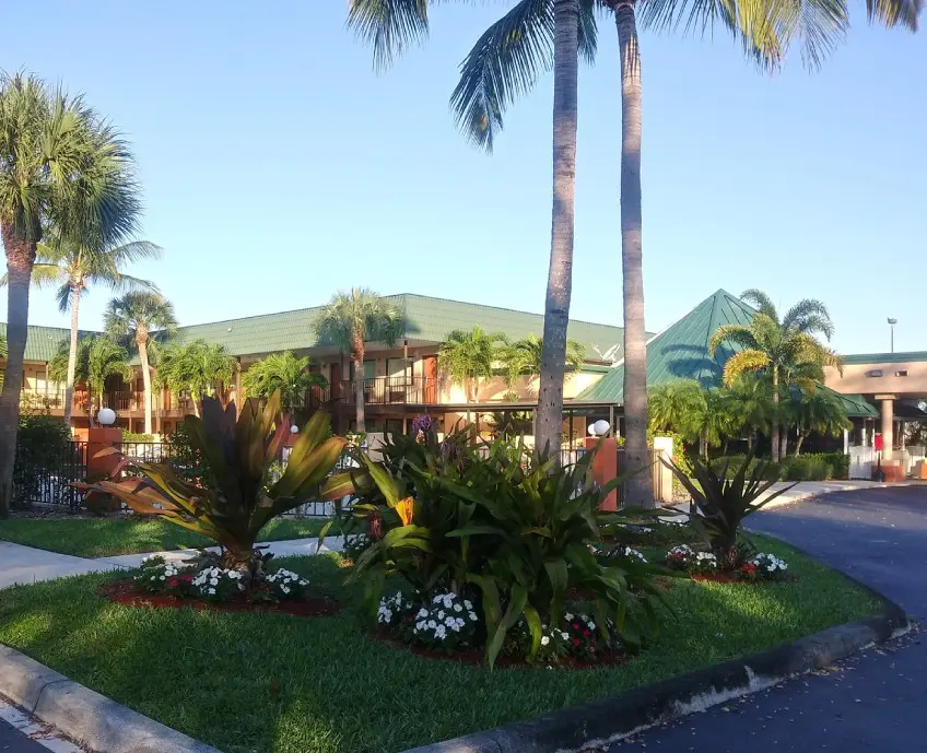 A palm tree is in the foreground and a building in the background.